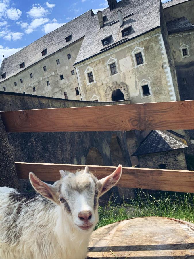 Burg Altpernstein Micheldorf in Oberösterreich Exterior foto